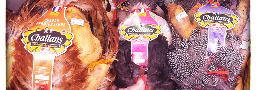 Les volailles festives