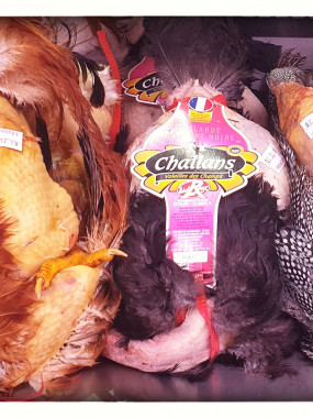 Poularde fermière label rouge des landes